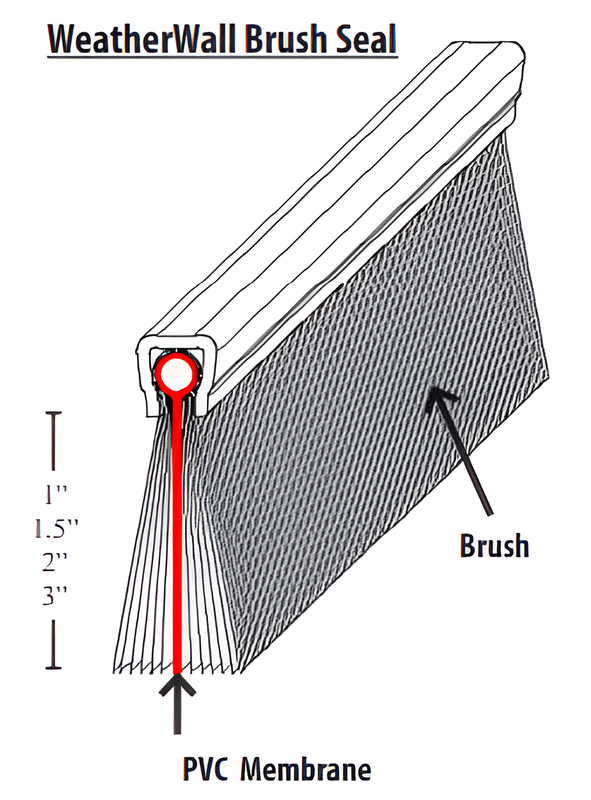 Door Brush Seal-AP8385