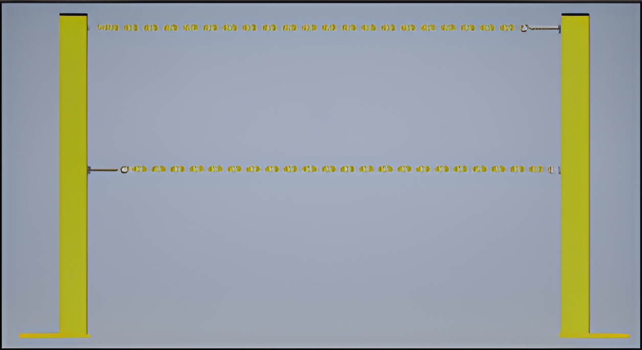 Dual Chain with Sentry Rail Column - AP8687, AP8688, AP8689